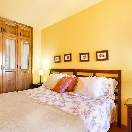 Live Arico El Mirador *