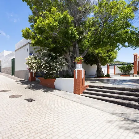 Live Arico El Mirador