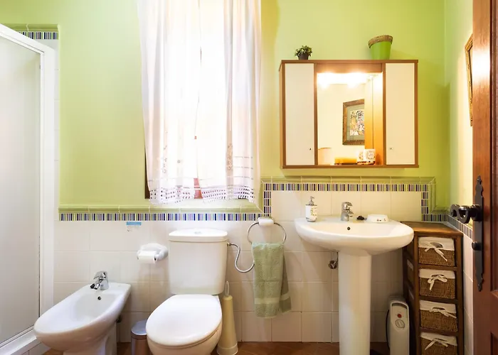 Live Arico El Mirador *