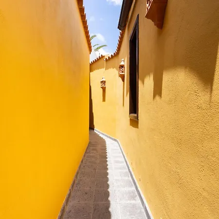 Live Arico El Mirador *