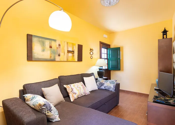 Live Arico El Mirador *