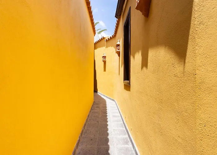 Live Arico El Mirador *