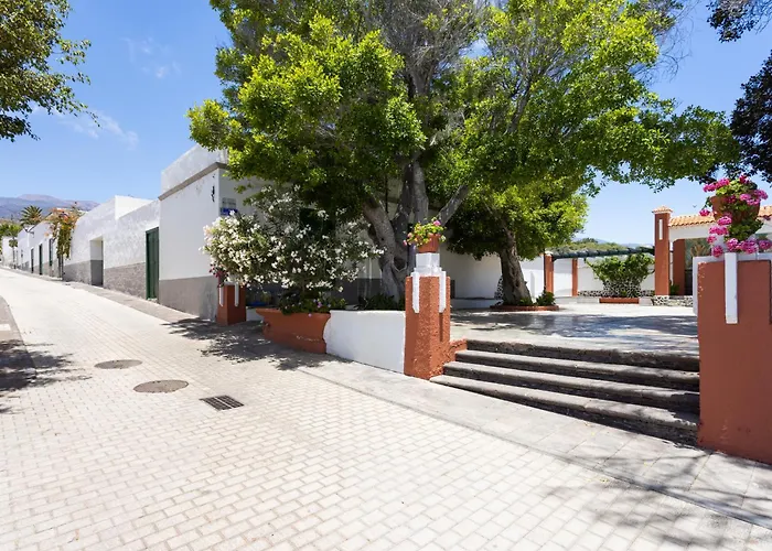 Live Arico El Mirador