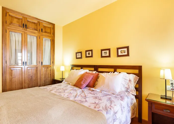 Live Arico El Mirador *